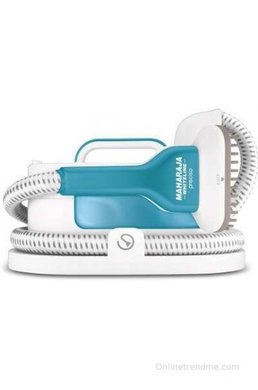 Maharaja Whiteline GS100 Garment Steamer(White & Light Blue)